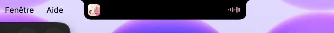 Gooseberry compact notch island with album art and music waveform