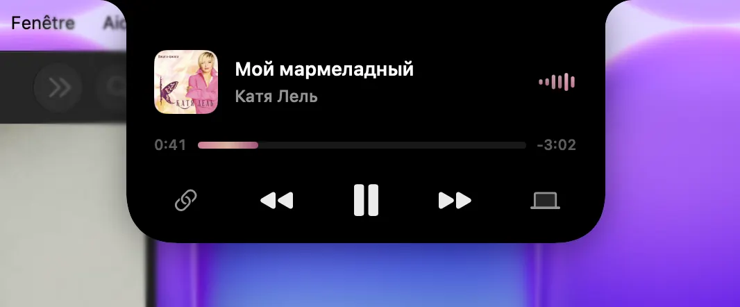 Gooseberry expanded media player showing album art, playback controls and an audio progress bar